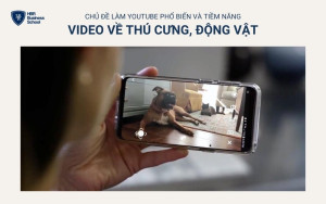 Video về thú cưng mang lại sự thư giãn cho người xem