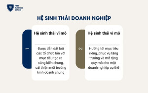 Hệ sinh thái doanh nghiệp