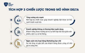 Tích hợp 3 chiến lược trong mô hình Delta