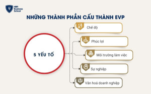 Những thành phần cấu thành EVP