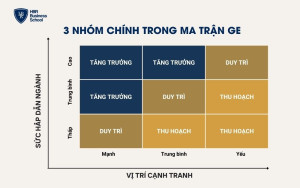 3 nhóm chính trong ma trận GE