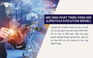 Mô hình phát triển vòng đời (Lifecycle evolution model)