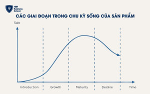 Chu kỳ sống của sản phẩm