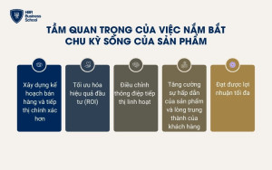 Tầm quan trọng của việc nắm bắt chu kỳ sống của sản phẩm