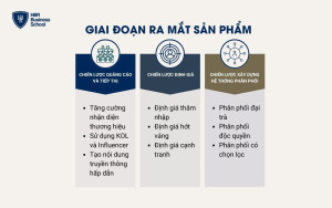 Chiến lược marketing trong giai đoạn ra mắt sản phẩm