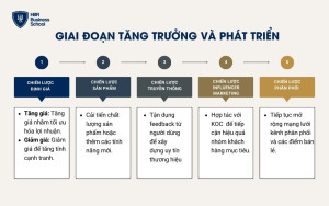 Chiến lược marketing trong giai đoạn tăng trưởng và phát triển