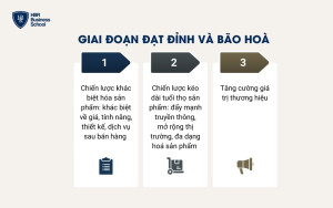 Chiến lược marketing trong giai đoạn đạt đỉnh và bão hoà