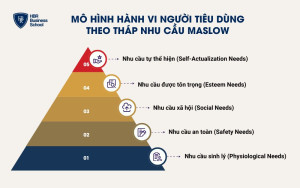 Mô hình hành vi người tiêu dùng theo tháp nhu cầu Maslow