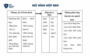 Mô hình hộp đen