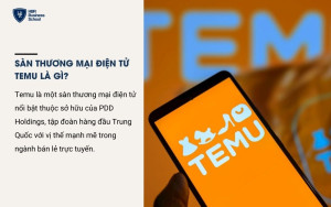 Định nghĩa sàn thương mại điện tử Temu