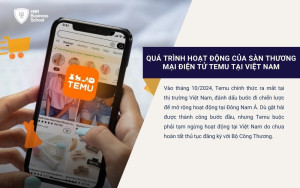 Quá trình hoạt động của sàn thương mại điện tử Temu tại Việt Nam