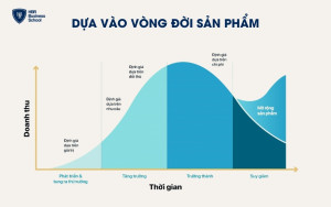 Chọn sản phẩm phễu cho doanh nghiệp dựa vào vòng đời sản phẩm