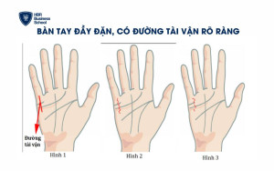 Bàn tay đầy đặn, có đường tài vận rõ ràng