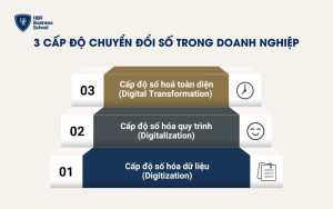 3 cấp độ chuyển đổi số trong doanh nghiệp