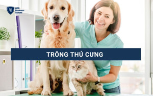 Trông thú cưng