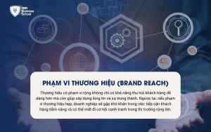 Phạm vi thương hiệu đo lường mức độ phổ biến và nhận diện của thương hiệu trong cộng đồng