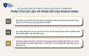 Phân tích dữ liệu và phản hồi của khách hàng