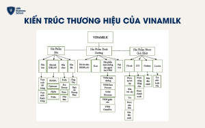 Kiến trúc thương hiệu của Vinamilk