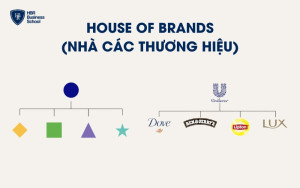 Mô hình kiến trúc thương hiệu House of Brands (Nhà các thương hiệu)