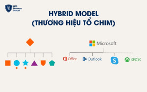 Mô hình kiến trúc thương hiệu Hybrid Model (Thương hiệu Tổ chim)