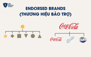 Mô hình kiến trúc thương hiệu Endorsed Brands (Thương hiệu bảo trợ)