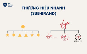 Mô hình kiến trúc thương hiệu Thương hiệu nhánh (Sub-Brand)