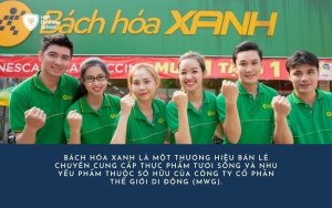 Bách Hóa Xanh - ông lớn trong ngành bán lẻ