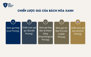 Chiến lược Giá của Bách Hóa Xanh