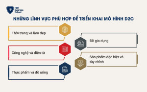 Những lĩnh vực phù hợp để triển khai mô hình D2C