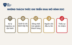 Một số thách thức khi triển khai mô hình D2C