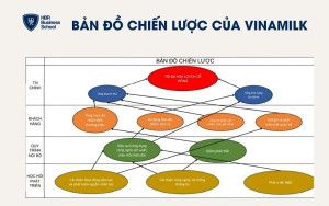 Bản đồ chiến lược của Vinamilk