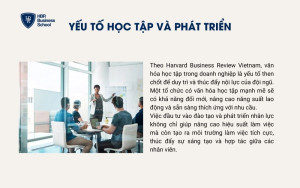 Xây dựng yếu tố học tập và phát triển không ngừng trong doanh nghiệp