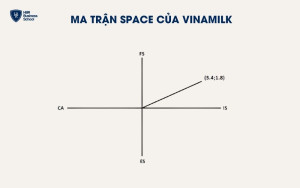 Ma trận SPACE của Vinamilk