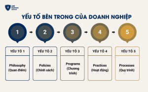 Yếu tố bên trong của doanh nghiệp