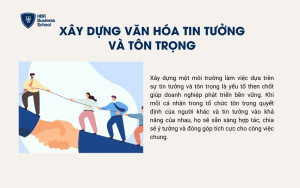 Xây dựng văn hóa làm việc tin tưởng và tôn trọng lẫn nhau