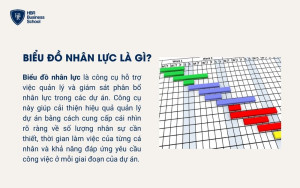 Biểu đồ nhân lực là gì?