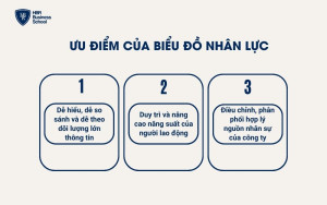 Ưu điểm của biểu đồ nhân lực