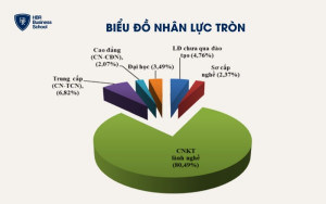 Biểu đồ nhân lực tròn