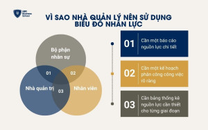 Vai trò của biểu đồ nhân lực với 3 bộ phận chính trong doanh nghiệp