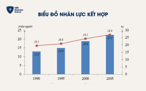 Biểu đồ nhân lực kết hợp