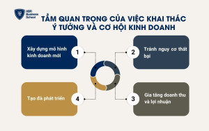 Tầm quan trọng của việc khai thác ý tưởng và cơ hội kinh doanh