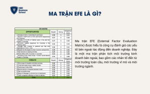 Ma trận EFE là gì?