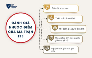 Nhược điểm của ma trận EFE