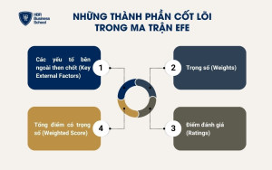 4 thành phần cốt lõi trong ma trận EFE