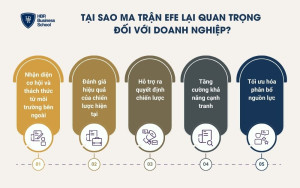 5 lý do cho thấy vai trò quan trọng của EFE đối với doanh nghiệp