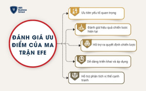 Ưu điểm của ma trận EFE
