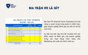Ma trận IFE là gì?