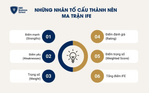 6 nhân tố cấu thành nên ma trận IFE