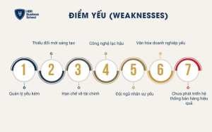 Một số điểm yếu để phân tích trong ma trận IFE