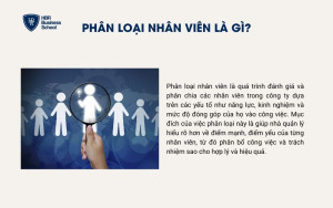 Phân loại nhân viên là gì?